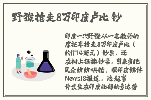 一色狗影院